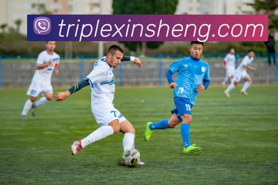 mksports官网登录入口发展历程